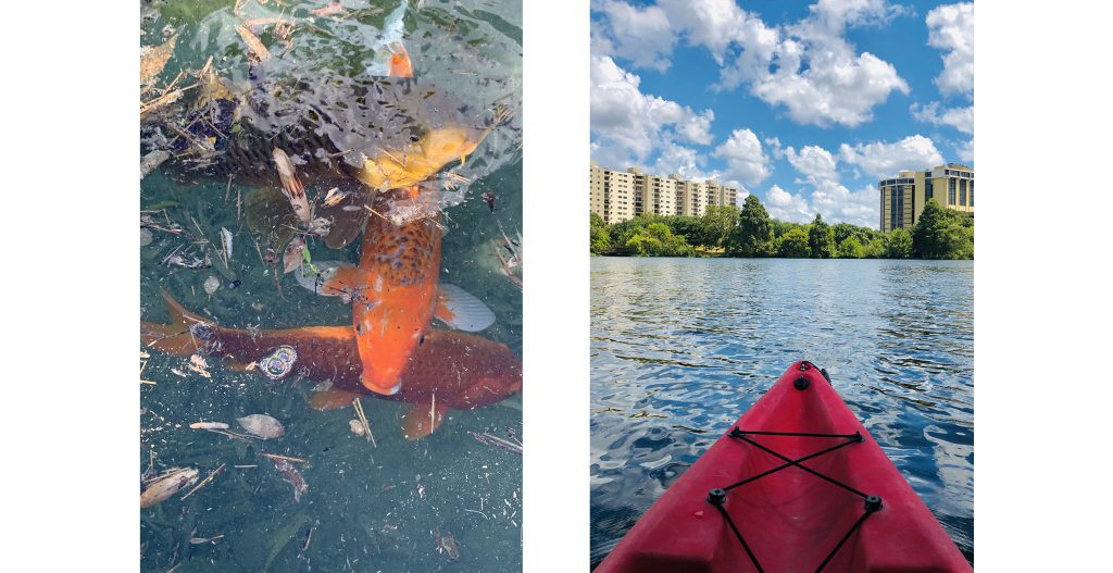 Japanese Tea Garden (San Antonio, TX) and Lady Bird Lake (Austin, TX)